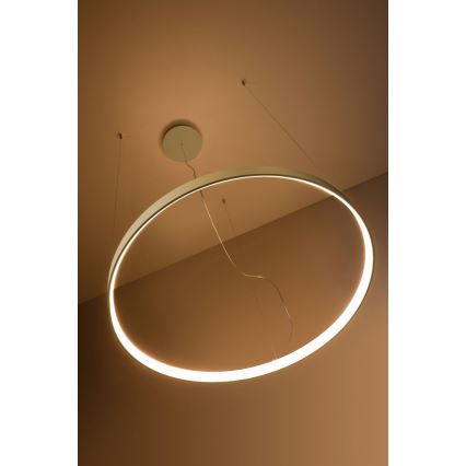 Thoro TH.216 - LED Hanglamp aan een koord RIO LED/30W/230V CRI90 3000K diameter 55 cm goud