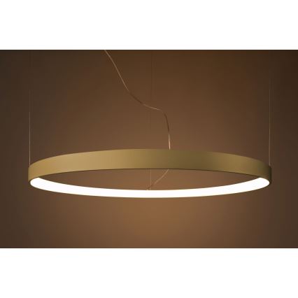 Thoro TH.216 - LED Hanglamp aan een koord RIO LED/30W/230V CRI90 3000K diameter 55 cm goud