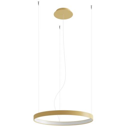 Thoro TH.216 - LED Hanglamp aan een koord RIO LED/30W/230V CRI90 3000K diameter 55 cm goud