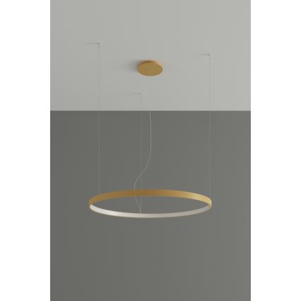 Thoro TH.217 - LED Hanglamp aan een koord RIO LED/30W/230V CRI 95 4000K diameter 55 cm goud