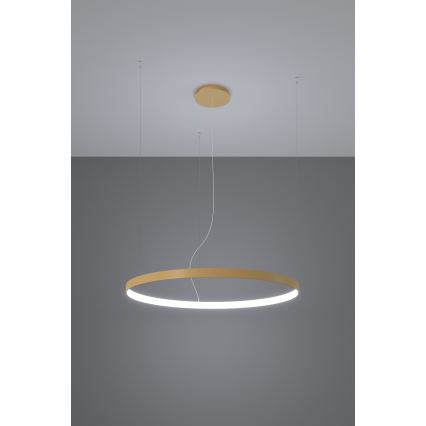 Thoro TH.217 - LED Hanglamp aan een koord RIO LED/30W/230V CRI95 4000K diameter 55 cm goud