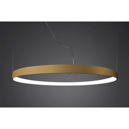 Thoro TH.217 - LED Hanglamp aan een koord RIO LED/30W/230V CRI95 4000K diameter 55 cm goud