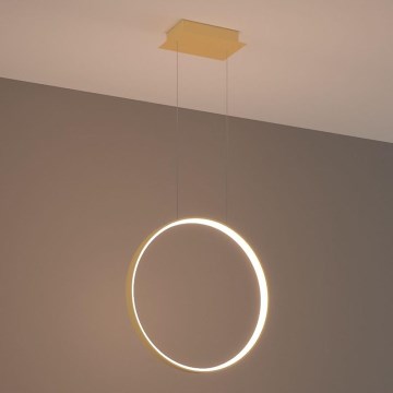 Thoro TH.220 - LED Hanglamp aan een koord RIO LED/30W/230V CRI 90 3000K diameter 55 cm goud