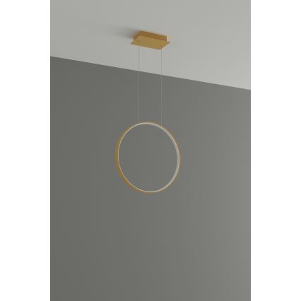 Thoro TH.220 - LED Hanglamp aan een koord RIO LED/30W/230V CRI90 3000K diameter 55 cm goud