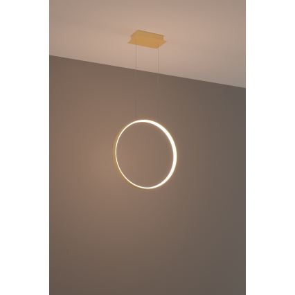 Thoro TH.220 - LED Hanglamp aan een koord RIO LED/30W/230V CRI 90 3000K diameter 55 cm goud