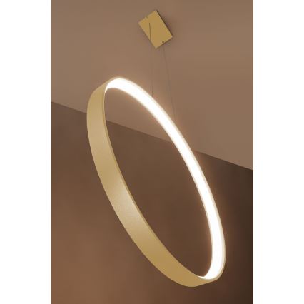 Thoro TH.220 - LED Hanglamp aan een koord RIO LED/30W/230V CRI90 3000K diameter 55 cm goud