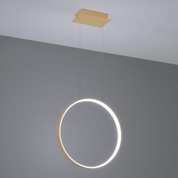 Thoro TH.221 - LED Hanglamp aan een koord RIO LED/30W/230V CRI 95 4000K diameter 55 cm goud