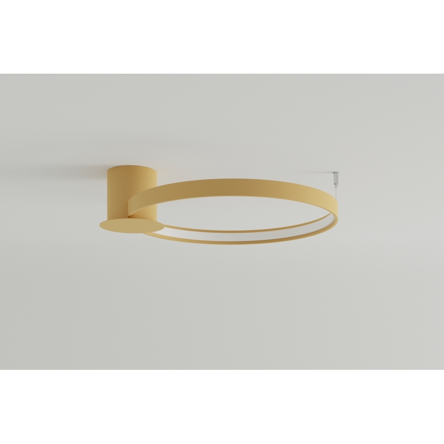 Thoro TH.222 - LED Plafondlamp RIO LED/30W/230V CRI 90 3000K diameter 55 cm goud