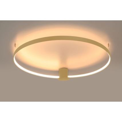 Thoro TH.222 - LED Plafondlamp RIO LED/30W/230V CRI90 3000K diameter 55 cm goud