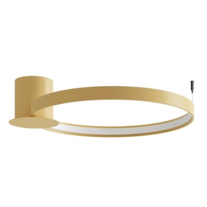 Thoro TH.223 - LED plafondlamp RIO LED/30W/230V CRI 98 4000K Ø 55 cm goudkleurig