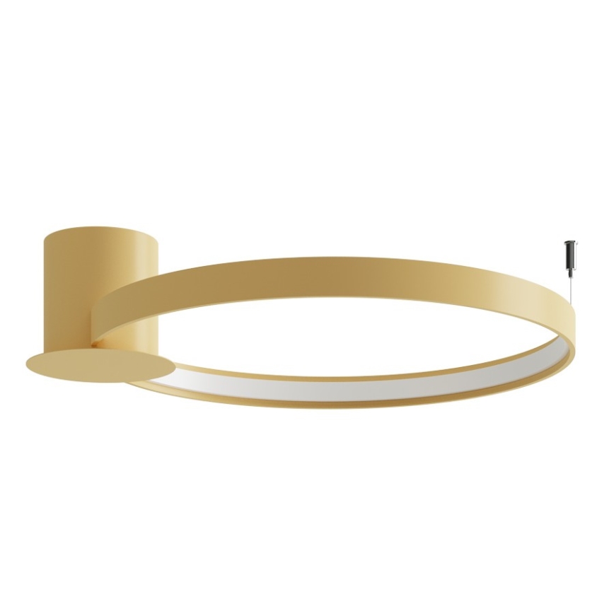 Thoro TH.223 - LED plafondlamp RIO LED/30W/230V CRI 98 4000K Ø 55 cm goudkleurig