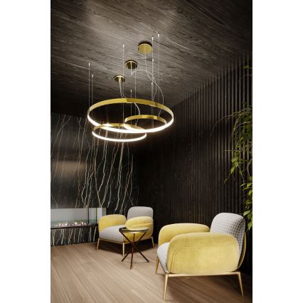 Thoro TH.246 - LED Hanglamp aan een koord RIO LED/50W/230V CRI90 3000K diameter 78 cm goud