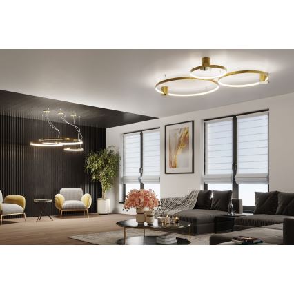 Thoro TH.246 - LED Hanglamp aan een koord RIO LED/50W/230V CRI90 3000K diameter 78 cm goud