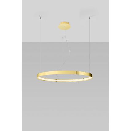Thoro TH.246 - LED Hanglamp aan een koord RIO LED/50W/230V CRI 90 3000K diameter 78 cm goud
