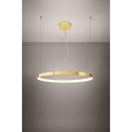 Thoro TH.246 - LED Hanglamp aan een koord RIO LED/50W/230V CRI90 3000K diameter 78 cm goud