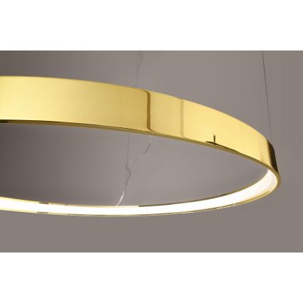 Thoro TH.246 - LED Hanglamp aan een koord RIO LED/50W/230V CRI90 3000K diameter 78 cm goud