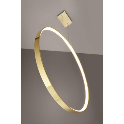 Thoro TH.248 - LED Hanglamp aan een koord RIO LED/50W/230V CRI 90 3000K diameter 78 cm goud