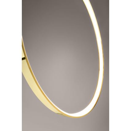 Thoro TH.248 - LED Hanglamp aan een koord RIO LED/50W/230V CRI90 3000K diameter 78 cm goud