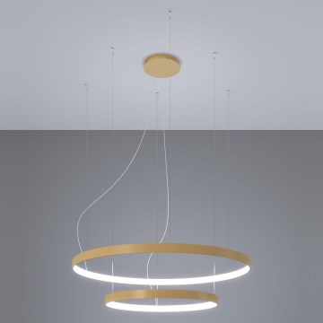 Thoro TH.268 - LED Hanglamp aan een koord RIO LED/80W/230V CRI 95 4000K goud