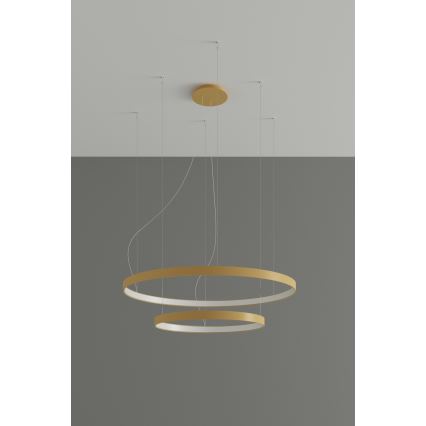 Thoro TH.268 - LED Hanglamp aan een koord RIO LED/80W/230V CRI 95 4000K goud