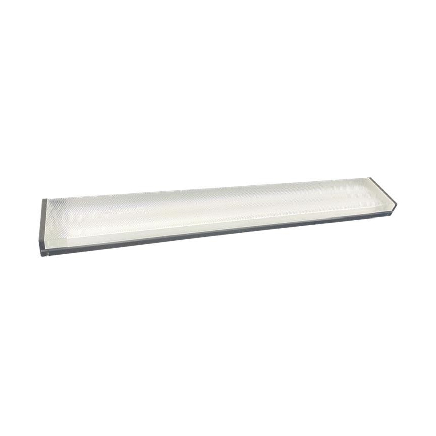 TL-buis 2xG13/18W/230V 124 cm