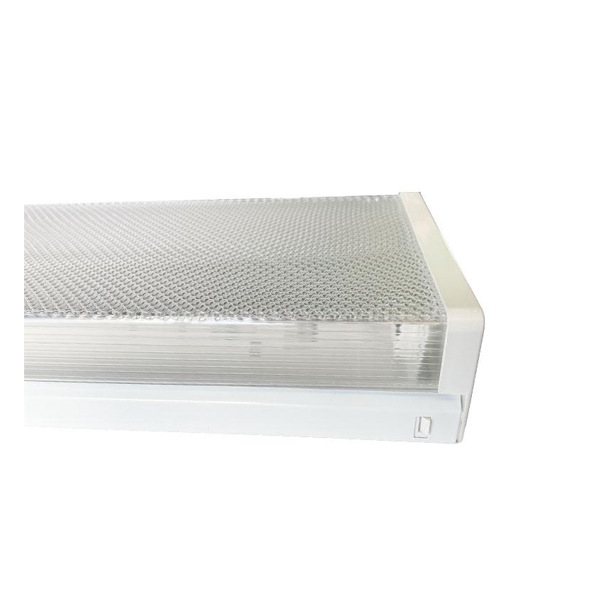 TL-buis 2xG13/18W/230V 124 cm