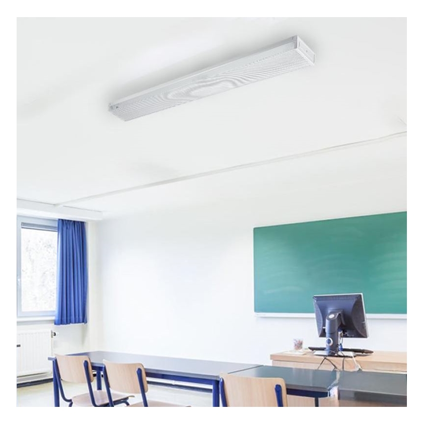 TL-buis T8 2xG13/18W/230V 124 cm