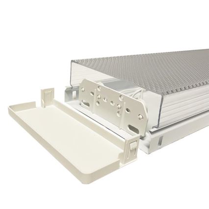 TL-buis T8 2xG13/18W/230V 124 cm