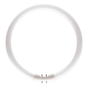 TL-buis Philips MASTER 2GX13/60W/230V 4000K