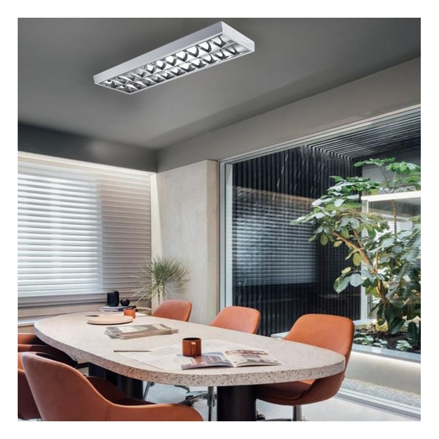 TL-buis T8 2xG13/18W/230V 120 cm