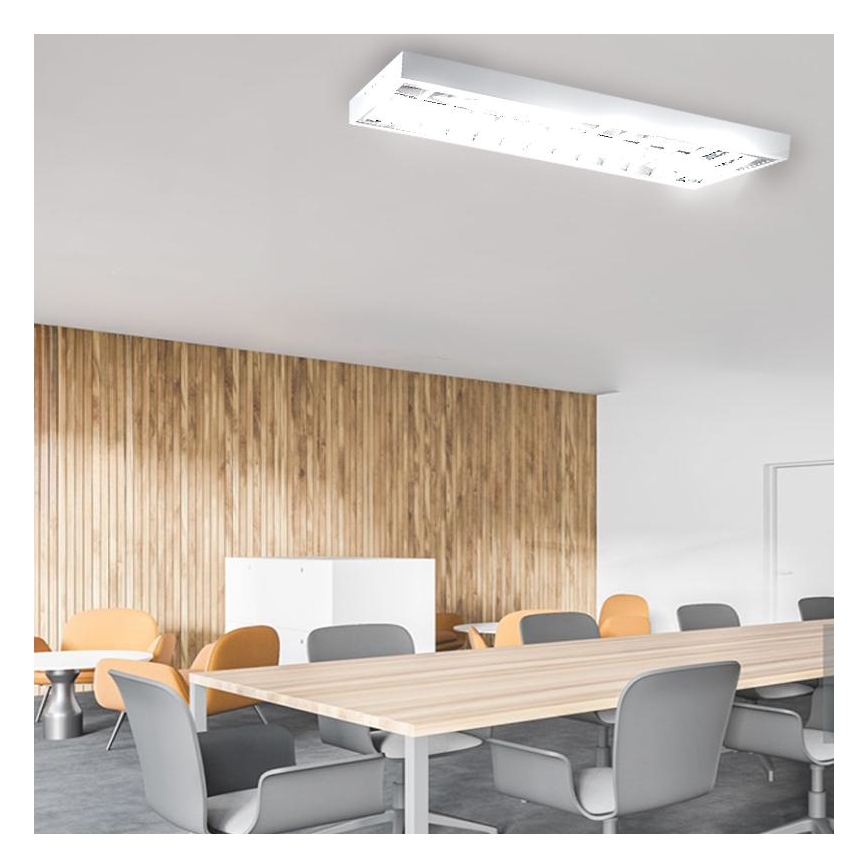 TL-buis T8 2xG13/18W/230V 120 cm wit
