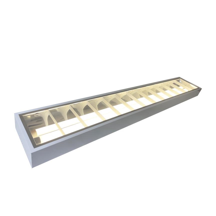 TL-buis T8 2xG13/18W/230V 120 cm wit