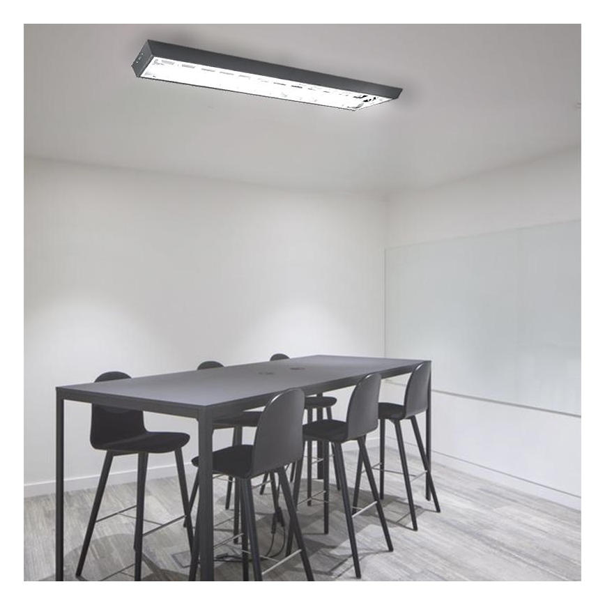 TL-buis T8 2xG13/18W/230V 120 cm zwart