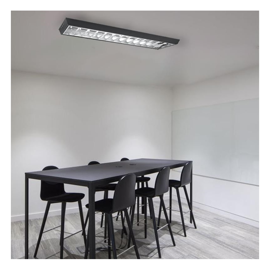TL-buis T8 2xG13/18W/230V 120 cm zwart