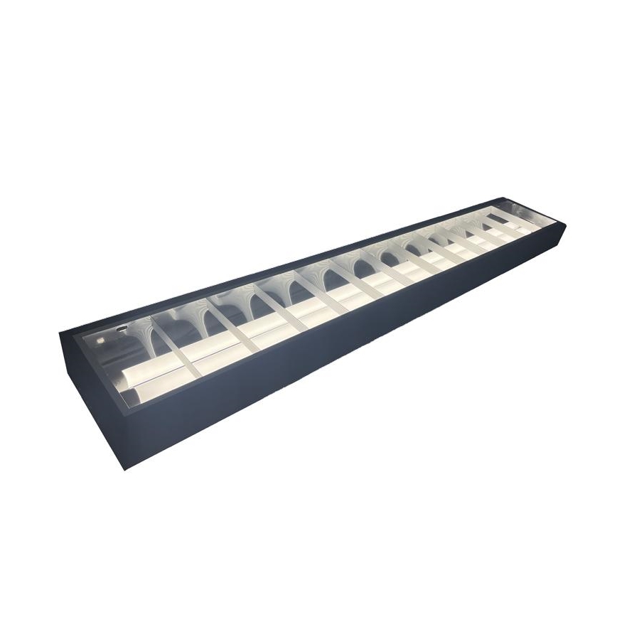 TL-buis T8 2xG13/18W/230V 120 cm zwart