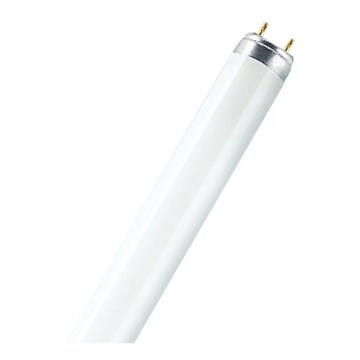 TL-buis T8 G13/15W/55V 2700K 45,2 cm - Osram