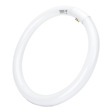 TL-buis T9 G10q/32W/230V 6500K - Aigostar