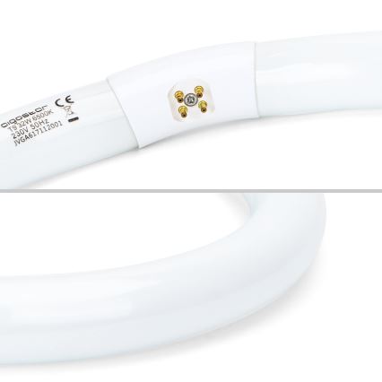 TL-buis T9 G10q/32W/230V 6500K - Aigostar