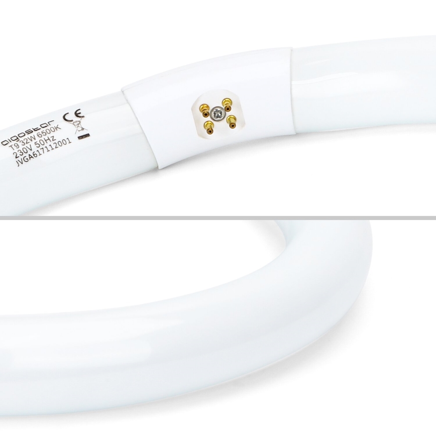 TL-buis T9 G10q/32W/230V 6500K - Aigostar