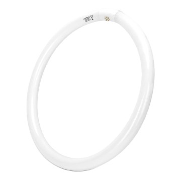 TL-buis T9 G10q/40W/230V 6500K - Aigostar