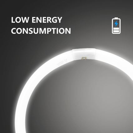 TL-buis T9 G10q/40W/230V 6500K - Aigostar