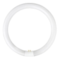 TL-buis YH G10q/28W/230V 6500K - Fulgur 03045 diameter 23 cm