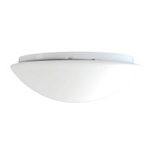 Top Light 5501/40/LED - LED Plafondverlichting 1xLED/24W/230V