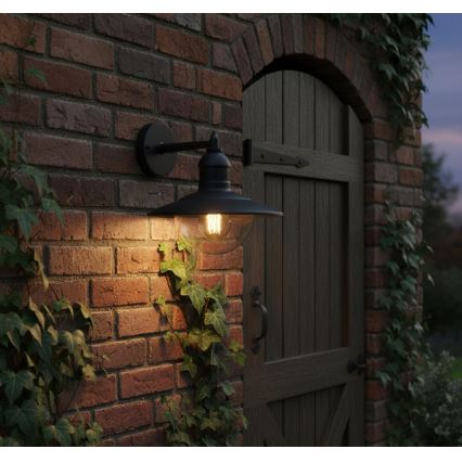 Top Light - Buitenwandlamp VERONA 1xE27/12W/230V IP44 zwart