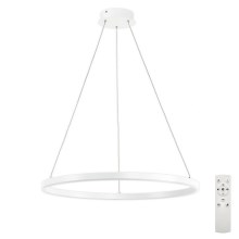 Top Light - Dimbare LED Hanglamp aan een koord LED/30W/230V 3000-6500 wit + afstandsbediening
