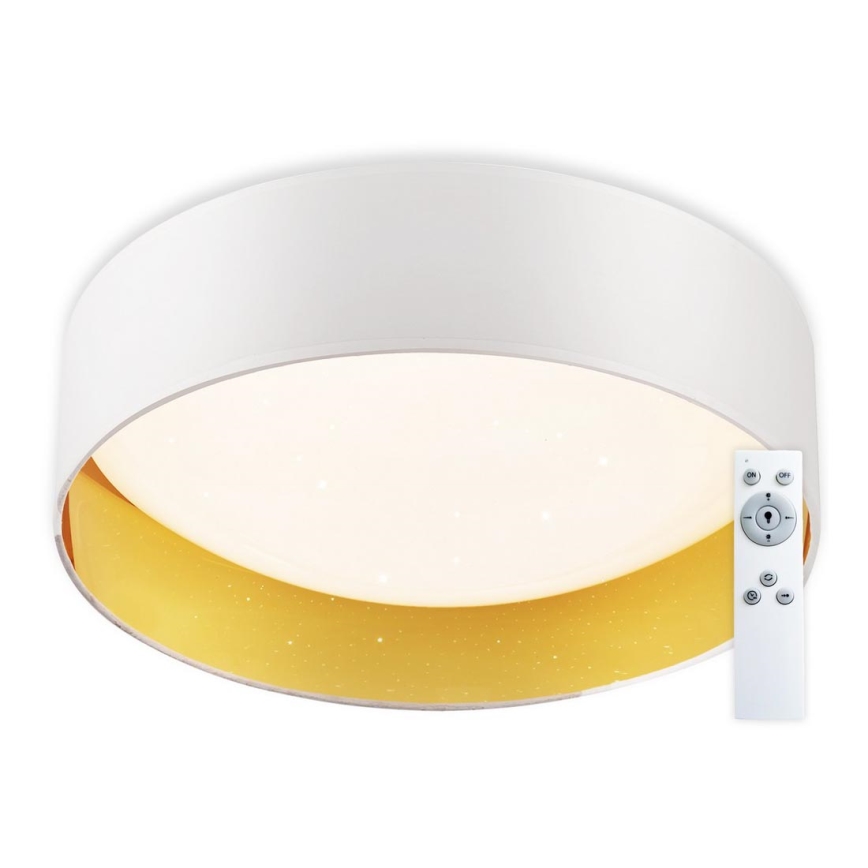 Top Light - Dimbare LED plafondlamp IVONA 40B AB LED/24W/230V + afstandsbediening wit