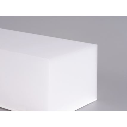 Top Light - LED Badkamer wandlamp BOXTER LED/12W/230V IP65 4000K