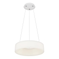 Top Light - LED dimbare hanglamp aan kabel HALO LED/40W/230V 3000–6500K Ø 44 cm + afstandsbediening