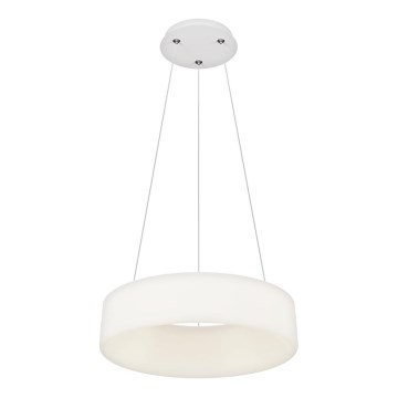 Top Light - LED Dimbare hanglamp HALO LED/40W/230V 3000-6500K diameter 44 cm + afstandsbediening