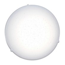 Top Light - LED Plafondlamp STAR LED/12W/230V